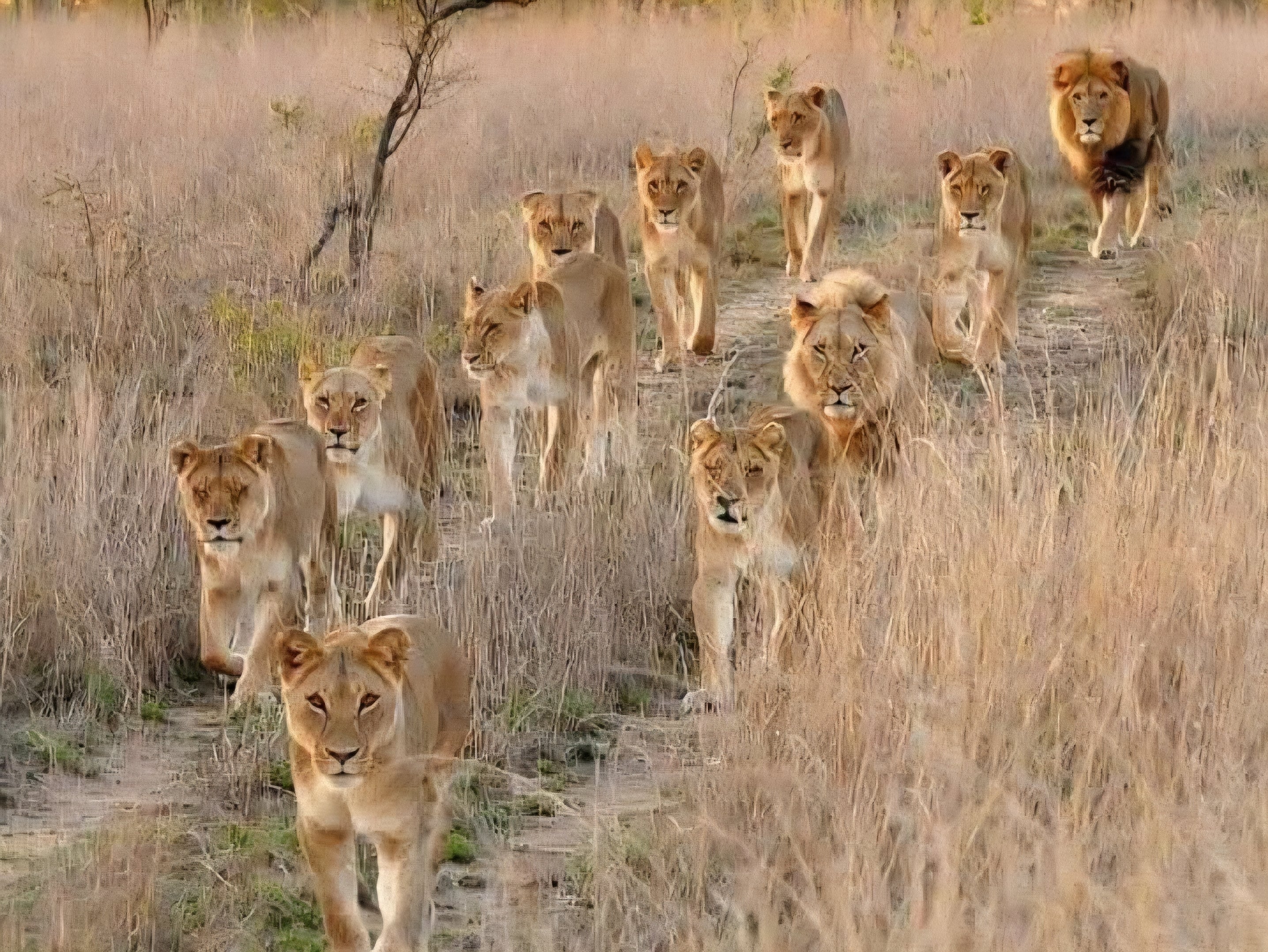 10 DAYS BUSH TO BEACH KENYA SAFARI