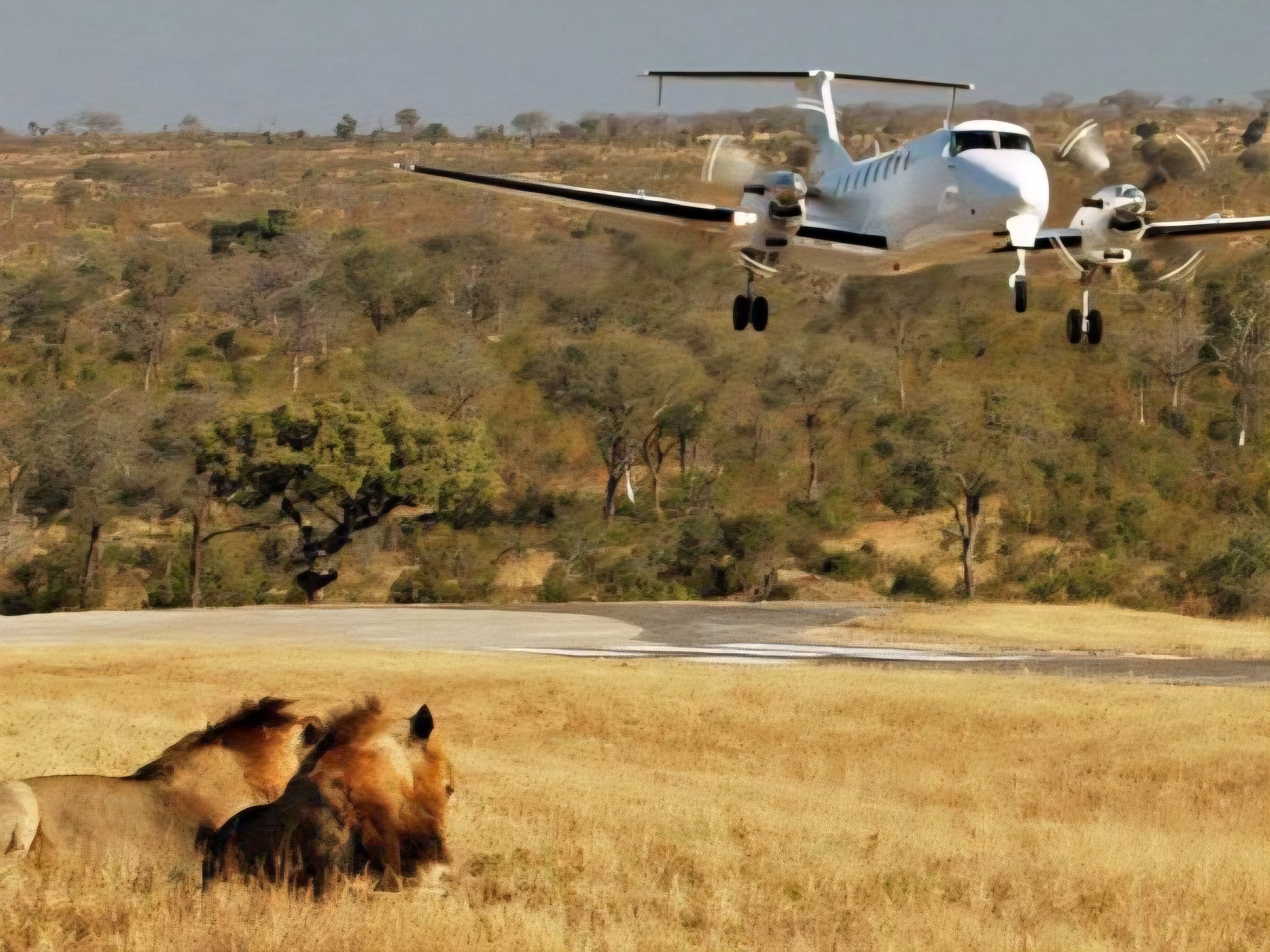 7-Day Safari of Lake Bogoria, Lake Nakuru National Park & Masai Mara