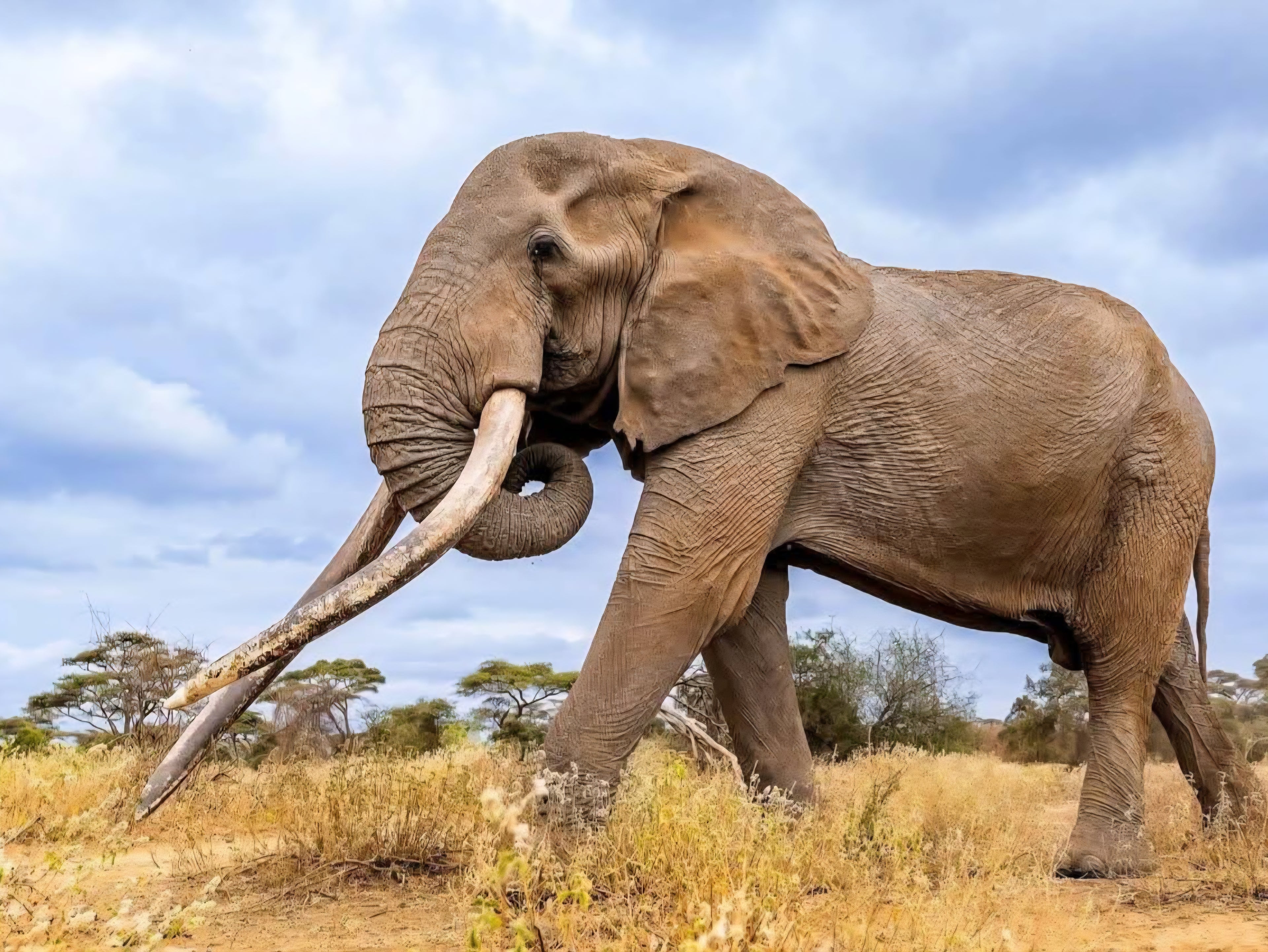 10 DAY SAFARI AND BEACH HOLIDAY